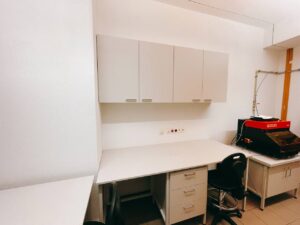 Na zdjęciu jest Stół Laboratoryjny Przyscienny w kolorze jasnoszarym